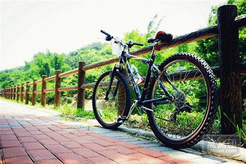 从化旅游攻略五天自由行,五一从化亲子游十大必去景点