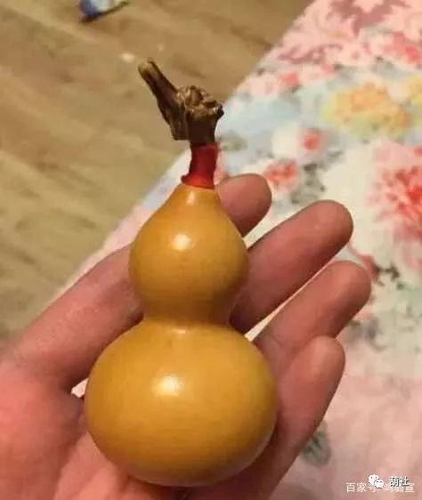 文玩葫芦没有龙头怎么办,文玩葫芦没有龙头装什么好看