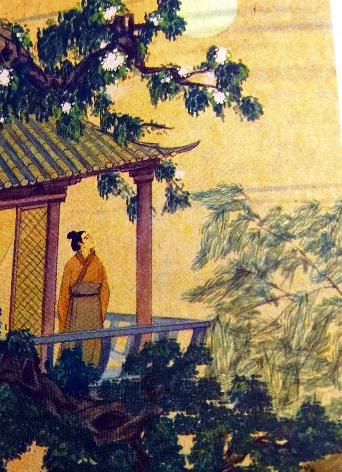 诗经邶风谷风阅读,诗经小雅谷风讲解视频