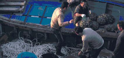 浣犲涔呮病鍘绘捣杈瑰害鍋囦簡,浣犲涔呮病鏈夊嚭闂ㄦ梾娓镐簡