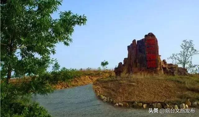 閬囪閱夌編閲戠,閬囪閱夌編閲戠鏂囨梾绯诲垪娲诲姩鍙戝竷