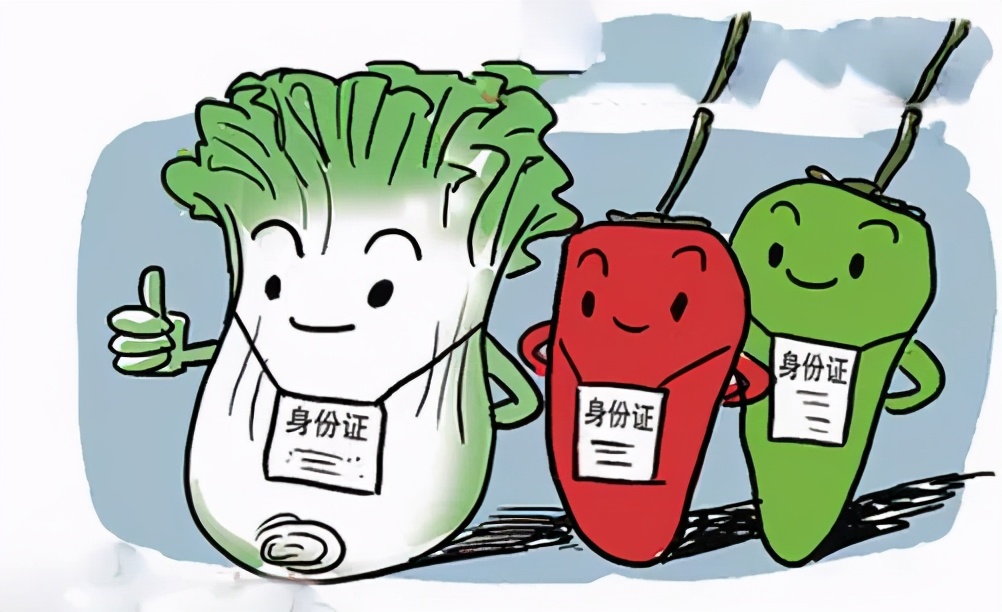 网购一定要知道的小技巧,网购防骗指南和手续