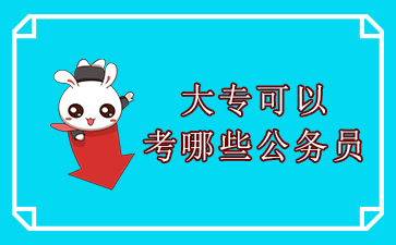 大专生报考公务员可以考哪些职位,大专可以报考公务员省考么