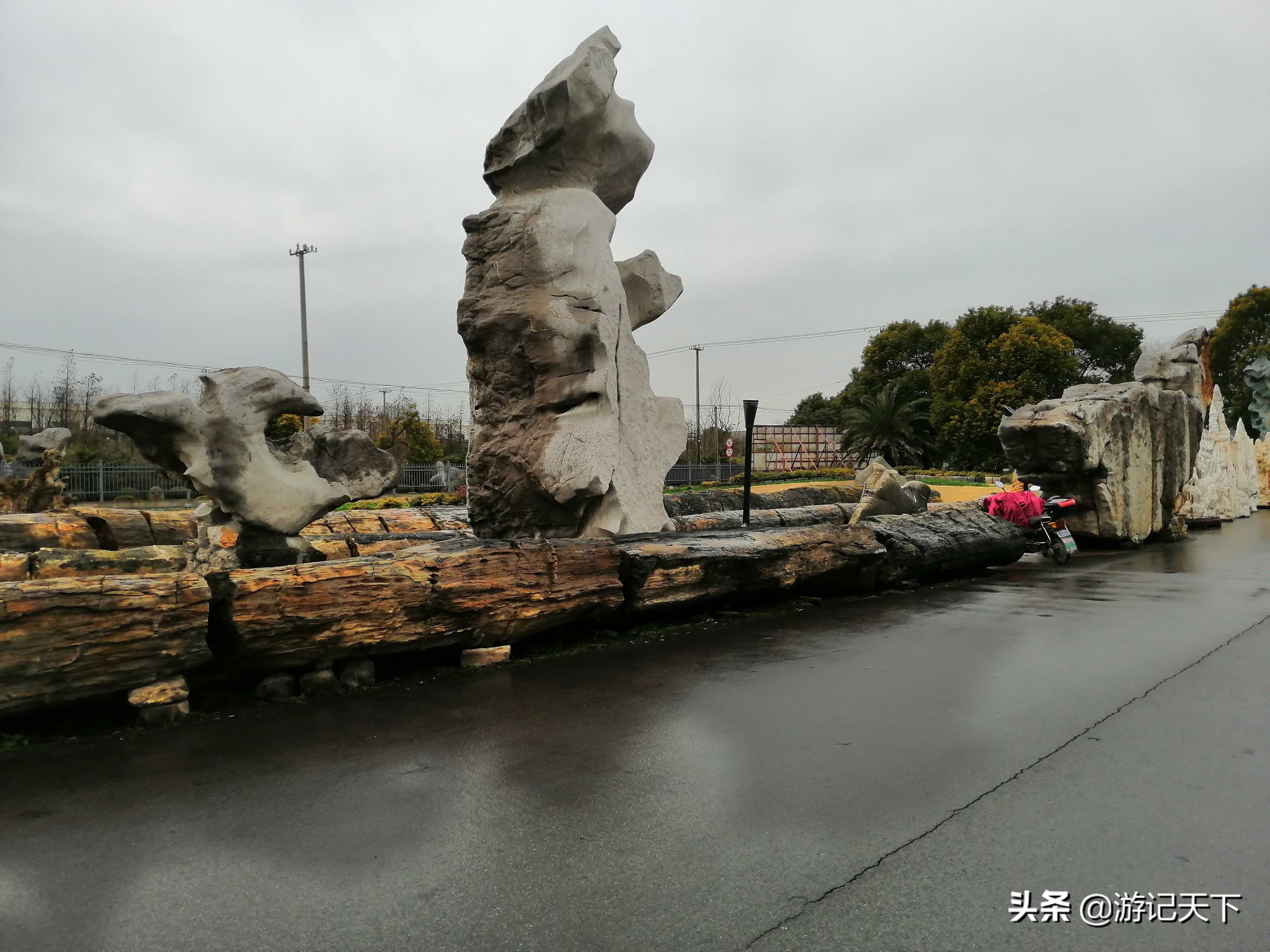 参观上海东方地质科普馆,上海东方地质科普馆需要预约吗