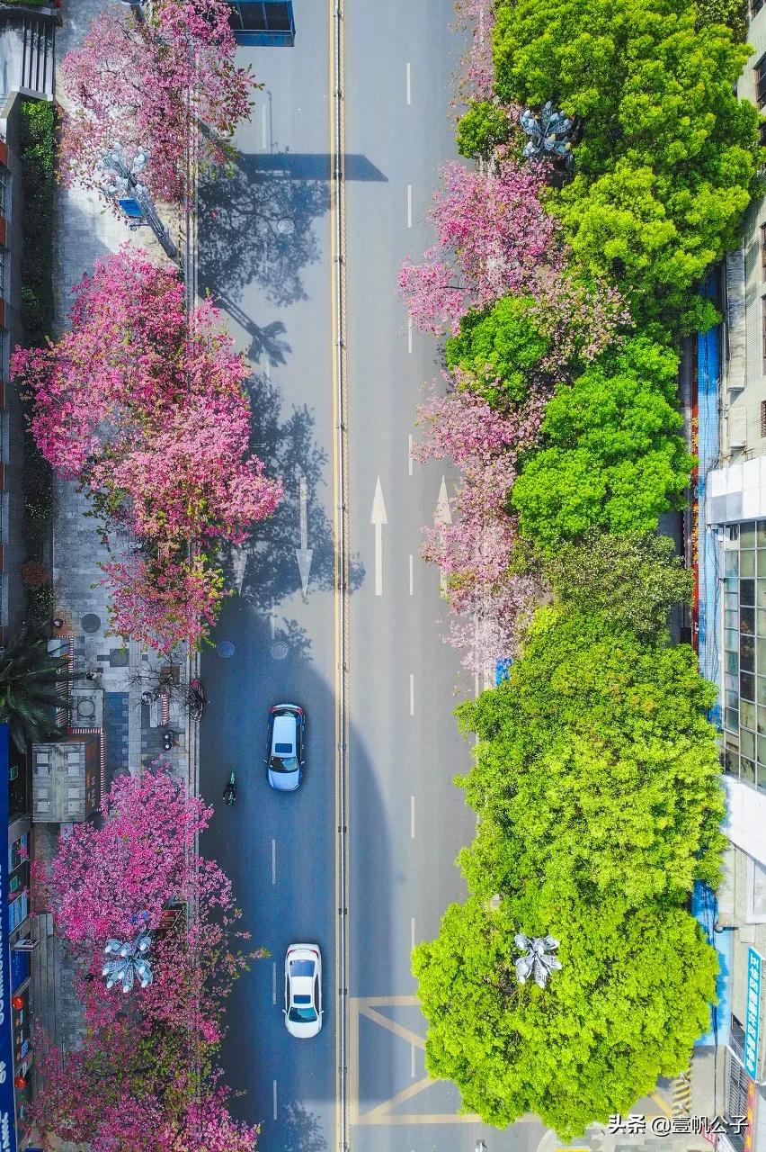 被大理的美景所折服,被丽江的风景美到了