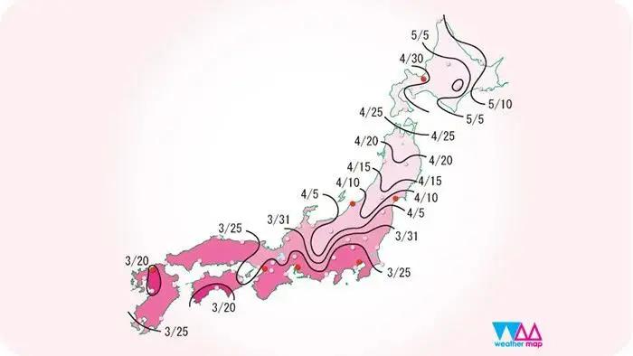 樱花盛开的季节真好看,日本最美樱花大赏