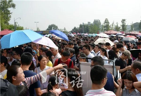 1h刹拢！想看大熊猫就去这3个地方，人少像包场，散养小熊猫