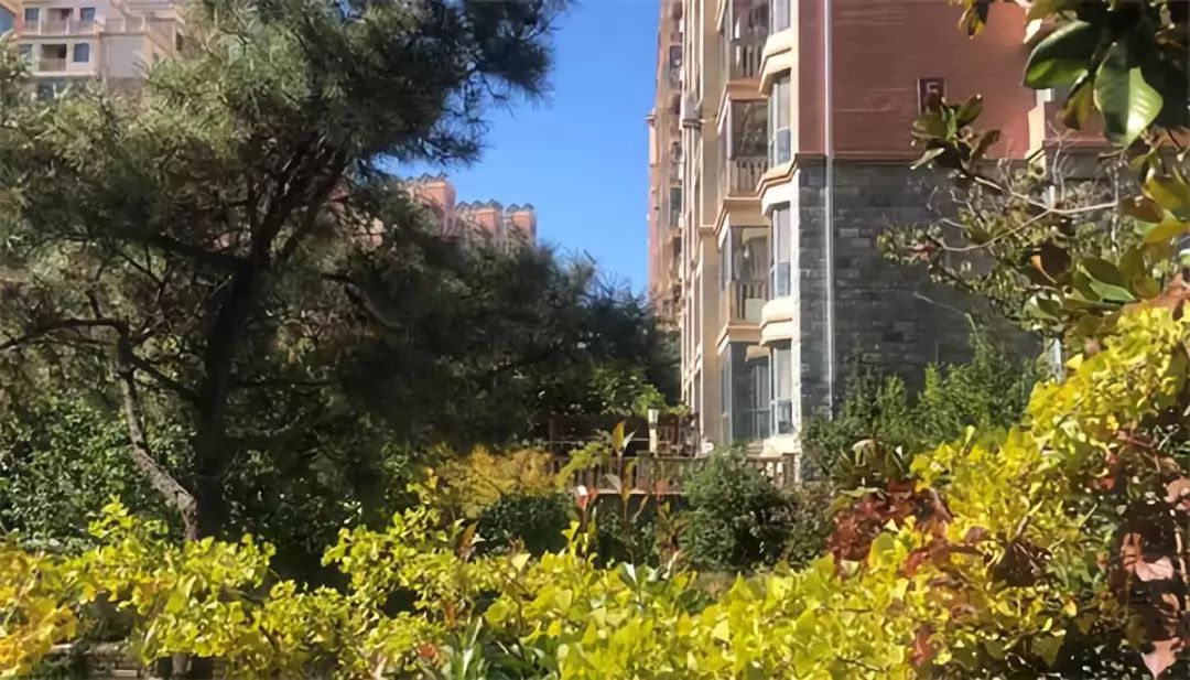 威海祥云花园,威海祥云花园一期是否值得买