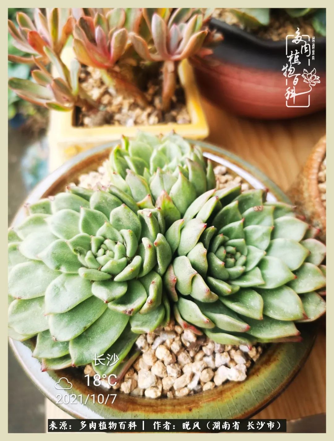 摇身一变成了奶爸,摇身一变成为打工人