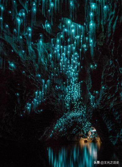新西兰有多贴近大自然,新西兰是个神奇而令人向往的地方