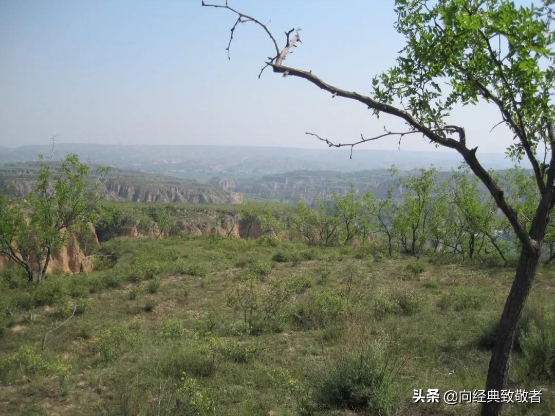 妈妈想你的时候泪流满面,妈妈想你原版