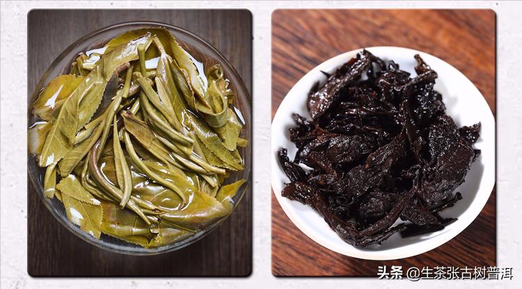喝熟普洱茶不得不知道的6个好处,喝普洱茶的十大禁忌不得不看