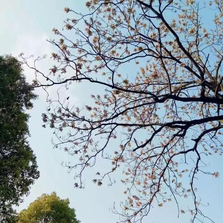 这个秋天，我们在萍乡学院等你