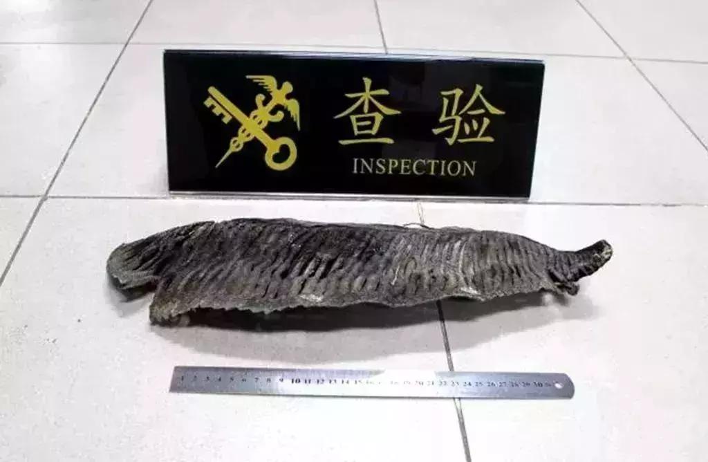 多次往返澳门被抓,在澳门被抓的人