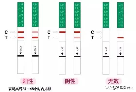 20个排卵试纸够了吗,排卵试纸怎么使用和怎么看