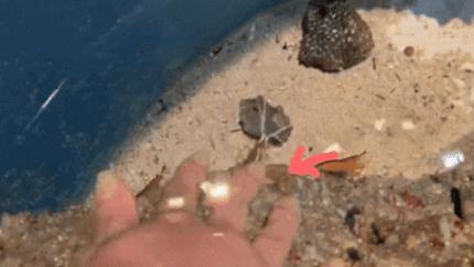 圣淘沙名胜世界视频,圣淘沙名胜世界30分钟打卡