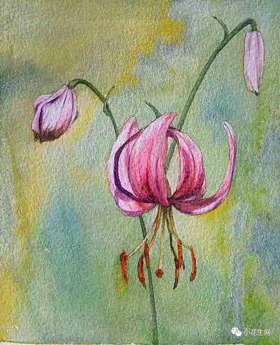 从零开始学绘画必备的画,从零开始学绘画第一步教程