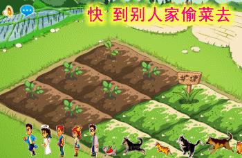 男子多次菜场偷菜被抓现行,小伙返乡创业老人偷菜被抓已报警