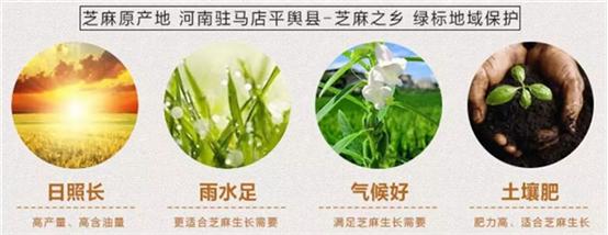 黑芝麻酱和白芝麻酱的区别与作用,黑芝麻酱和白芝麻酱的区别在哪里