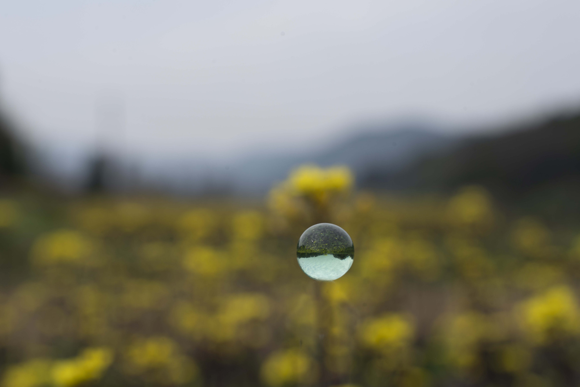 摄影后期必须要修图吗,摄影后期算不算作假