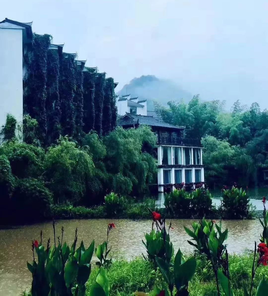 FineYoga回馈*会：社**抑郁症疗愈营（课程，食宿，家属全部免费）