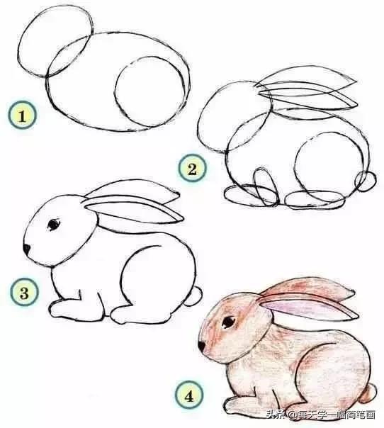 儿童海底动物简笔画大全简单,从海面到海底的简笔画