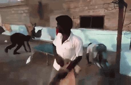 搞笑gif永远不要相信任何人,朋友圈gif背景搞笑