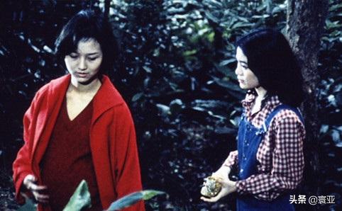 初绽枝头华语新浪潮影片女导演，许鞍华