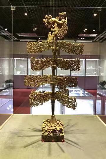 摇钱树开花了会不会烂掉,摇钱树会生钱吗