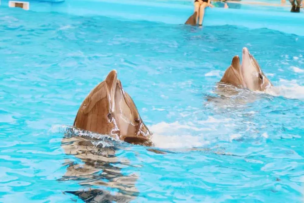 普吉岛雨天游玩攻略视频,普吉岛旅游帆船3天2晚