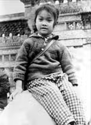 明星那英的婚姻及子女状况,歌手那英和高峰结婚了吗