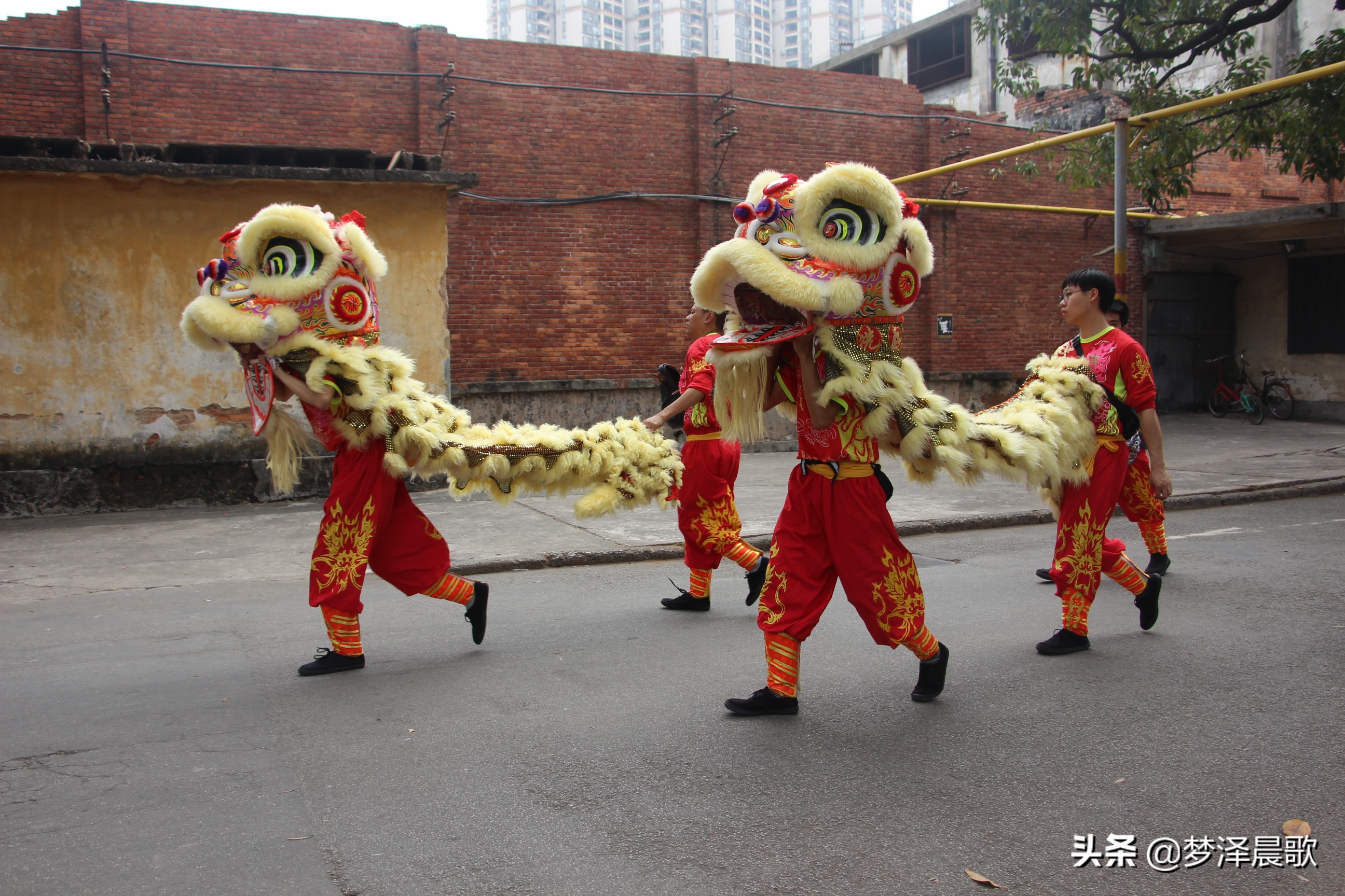 猪年喜庆舞蹈,猪年大吉喜气洋洋广场舞