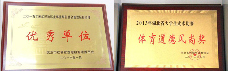 武汉外语外事职业学院新生指南,武汉外语外事职业学院官网是什么