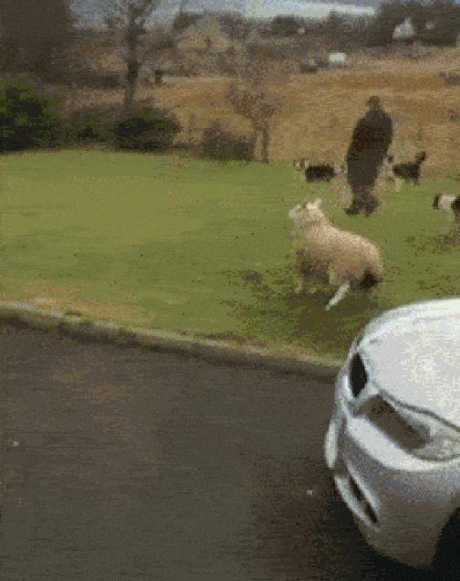 和空姐合租的日子,和空姐在一起的日子电视剧