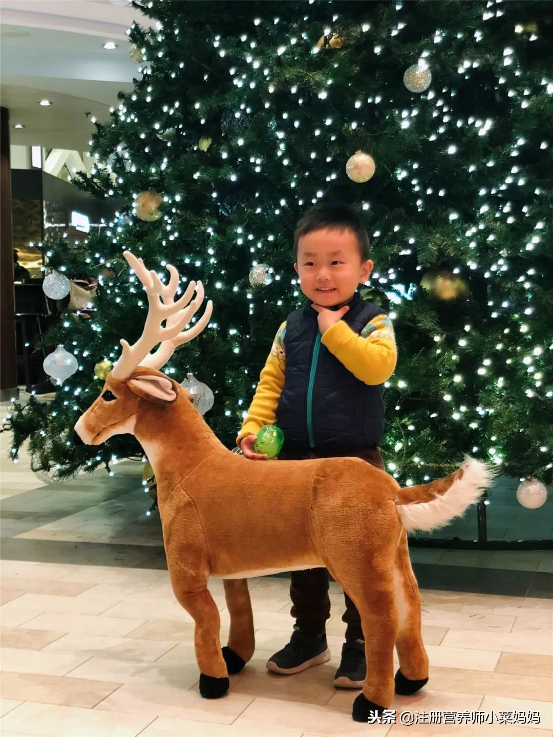 量子号航线攻略,量子号最全攻略