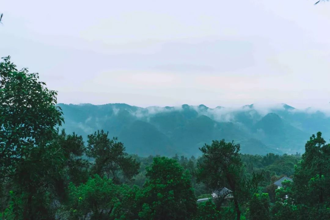 放弃城市40万年薪，夫妻躲进深山造出“最美书店”引600万人围观