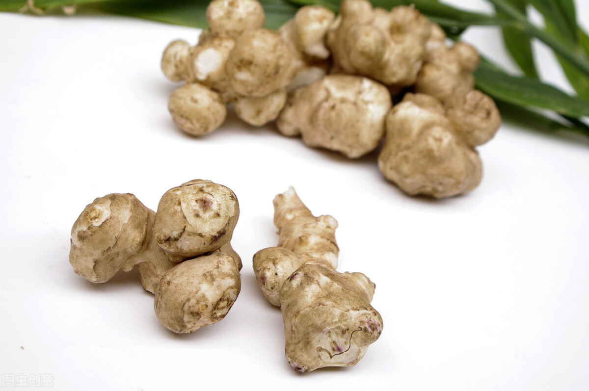 菊芋科植物包括哪些,菊芋是一种天然的植物