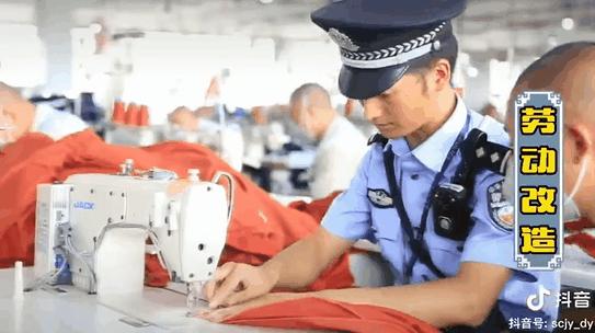 进牢房包吃包住,大学生进监狱待遇会好点吗