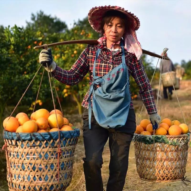 云集发展前景怎样,云集怎么变成团长