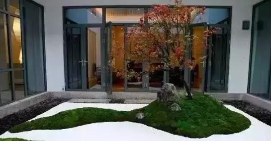 禅意庭院一定要用苔藓吗,禅意苔藓微景观制作视频