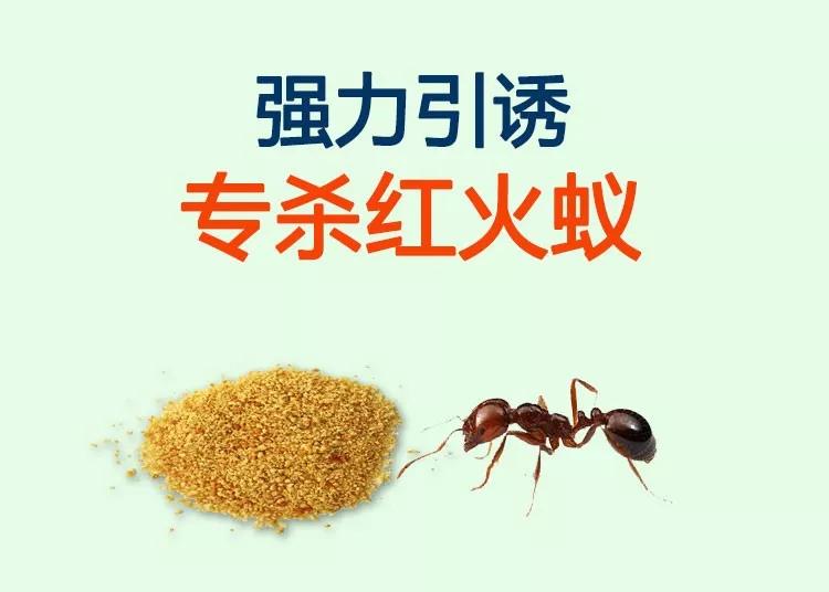 红火蚁咬伤后几天毒性会消退,红火蚁的毒性是属于酸性还是碱性