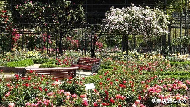 梦中小屋的安妮正版,梦中小屋的安妮书籍