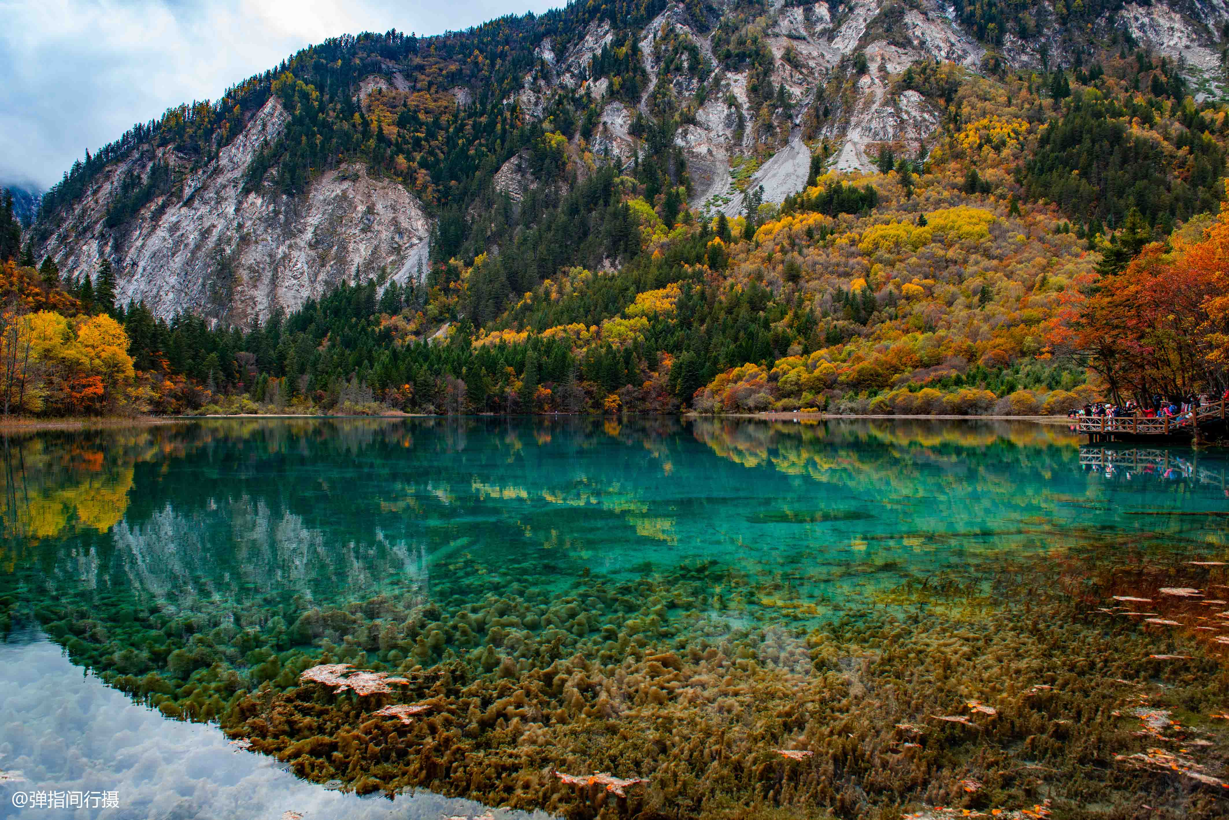 九寨沟最“仙”的景点:秋色宛如彩色梦境,堪称“九寨沟一绝”