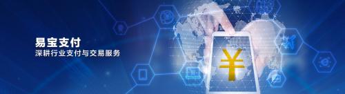 易宝支付快捷支付收入,易宝支付叫什么