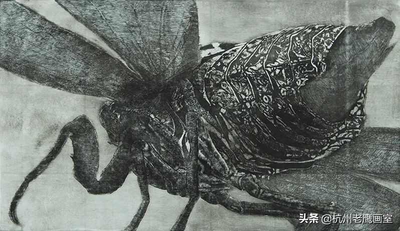 日本艺术大学作品集要求,日本艺术大学本科毕业