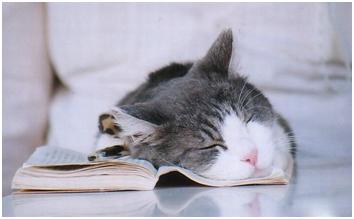 肤色一黑一白怎么办,肤色黑可以美白吗