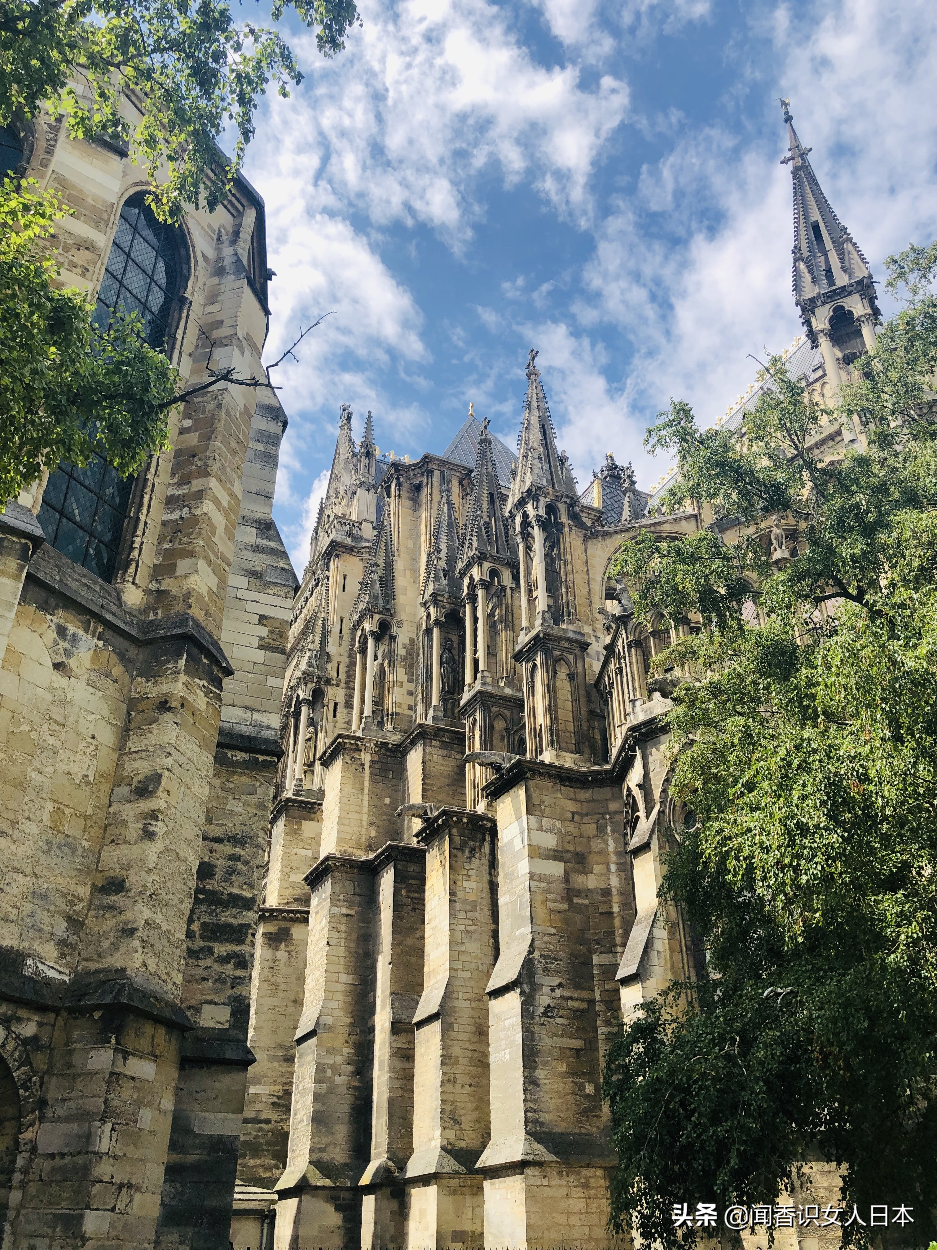 巴黎圣母院大教堂,巴黎圣母院和兰斯大教堂