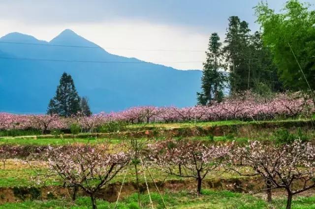 去了10次也不腻的地方,芜湖最值得一去的地方