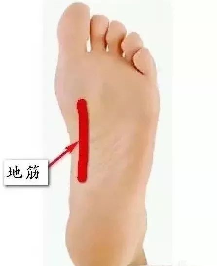 越是没本事的人为什么脾气越暴躁,脾气越倔越硬的人命一定很悲惨