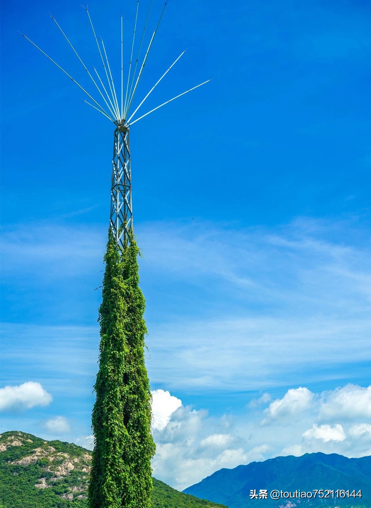 深圳市最美的沙滩,深圳最美的野沙滩